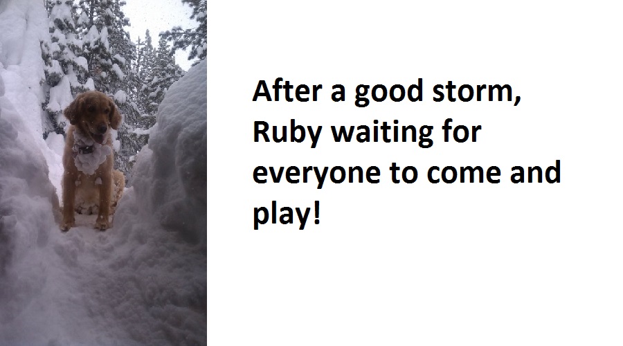 Ruby Snow